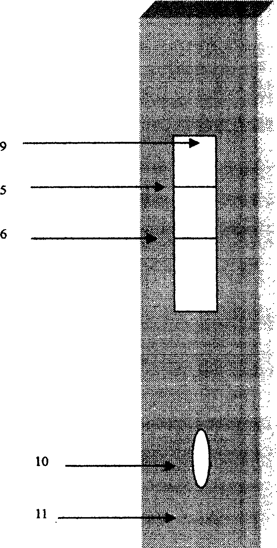 Quick detection reagent for syphilis leptospira antigen and preparation method thereof
