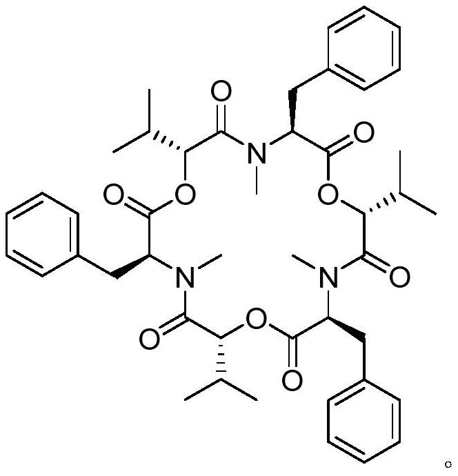 Application of a marine fungus-derived beauveria in biological control of marine fouling