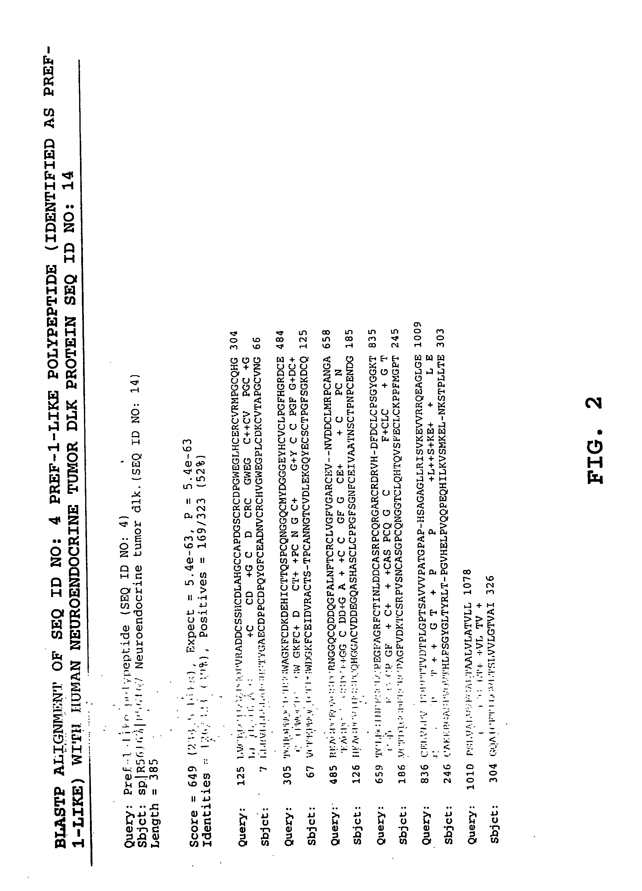 Methods and materials relating to preadipocyte factor-1-like (pref-1-like) polypeptides and polynucleotides