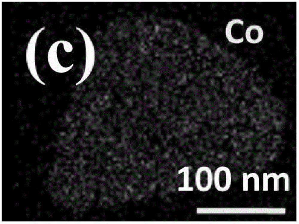 Cobalt-doped tungsten sulfide nano sheets, and preparation method and application thereof in electrochemical hydrogen evolution
