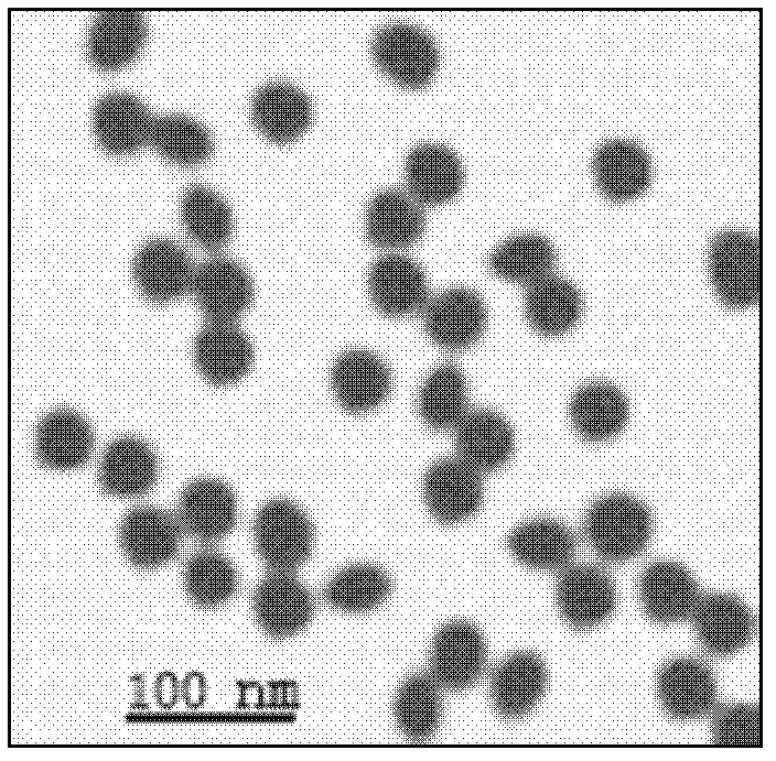 Microscale urinary albumin colloidal gold detection kit and preparation technology thereof