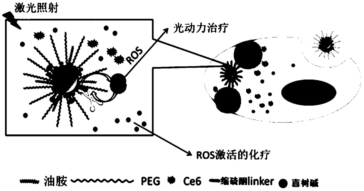 A ROS-responsive nano-drug delivery system and its preparation method and application