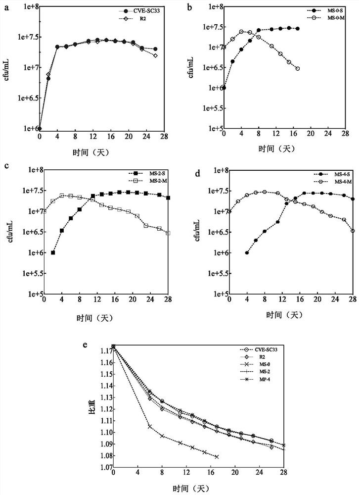 A fermentation process using non-Saccharomyces cerevisiae to improve the aroma quality of ice wine