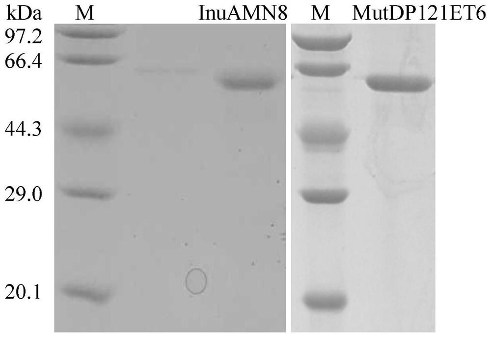 Exo-inulinase mutant MutDP121ET6 with improved low-temperature activity