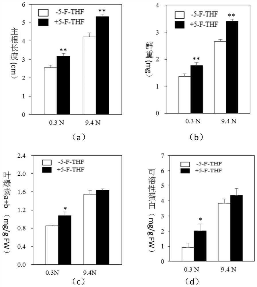 Application and method of 5-formyltetrahydrofolate in improving nitrogen utilization rate of plants