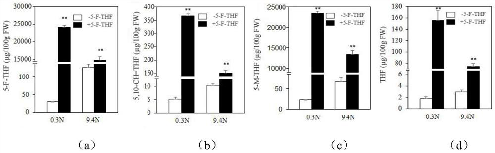 Application and method of 5-formyltetrahydrofolate in improving nitrogen utilization rate of plants