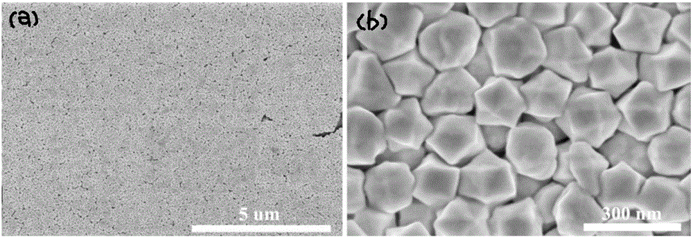 Surface enhanced Raman scattering substrate and manufacturing method thereof