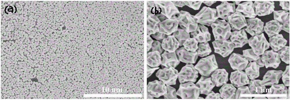 Surface enhanced Raman scattering substrate and manufacturing method thereof