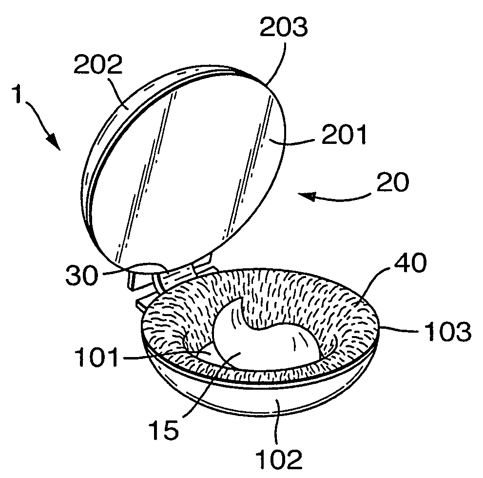 Hair treatment application system comprising an absorbent substrate