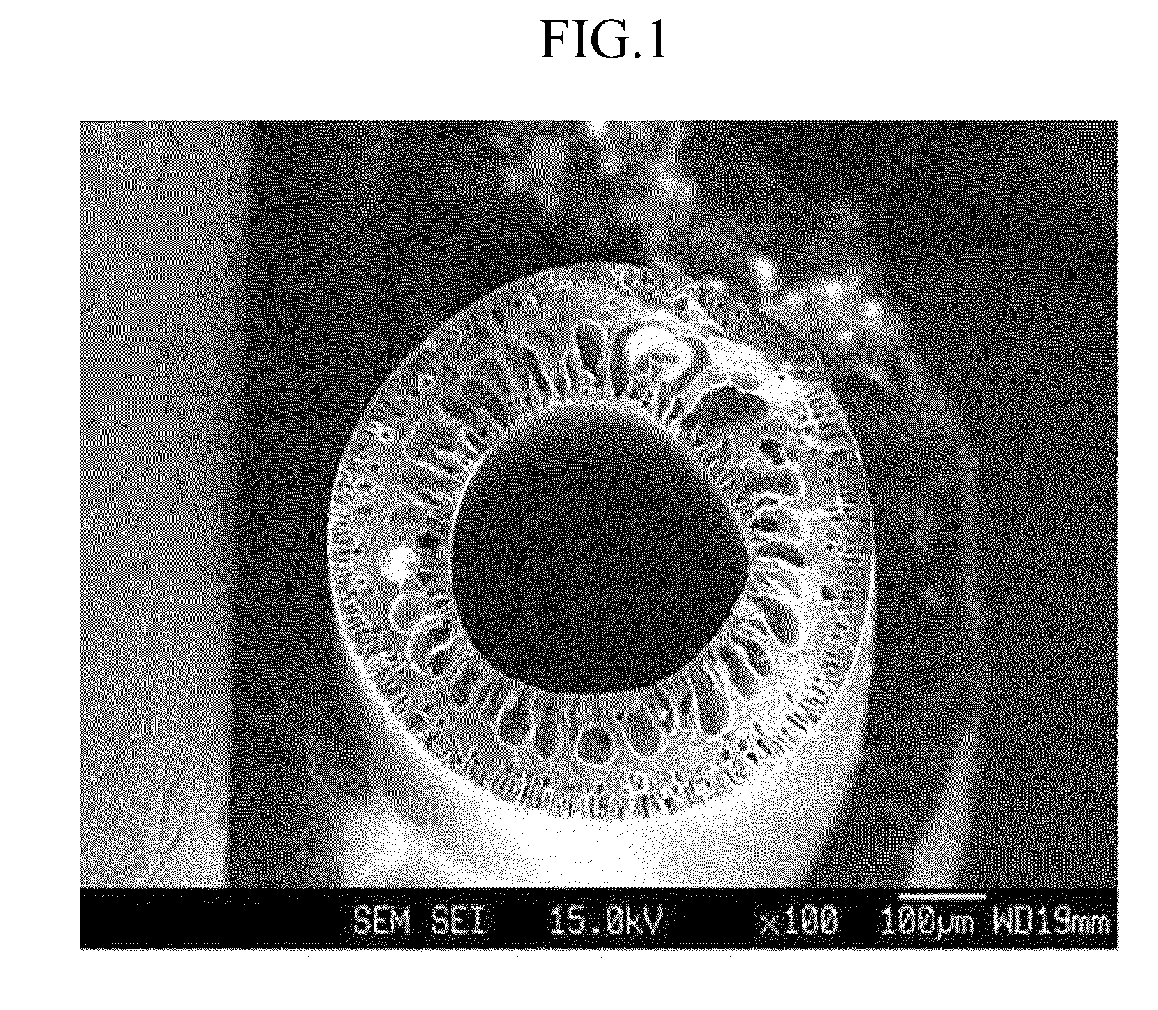 Hollow fiber, dope composition for forming hollow fiber, and method of preparing hollow fiber using the same