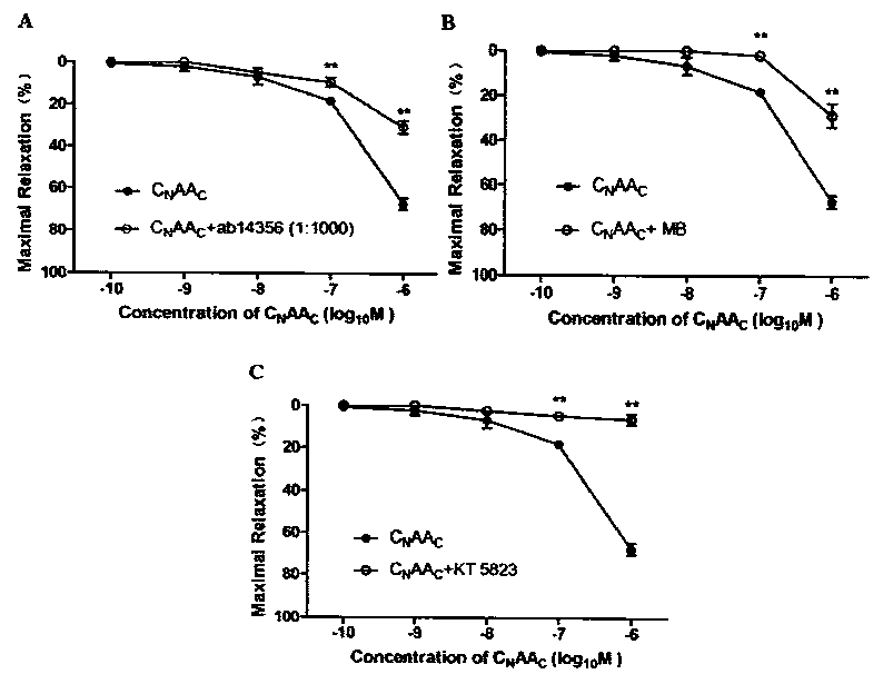 A novel natriuretic peptide chimera c with anti-heart failure activity  <sub>n</sub> aa  <sub>c</sub>