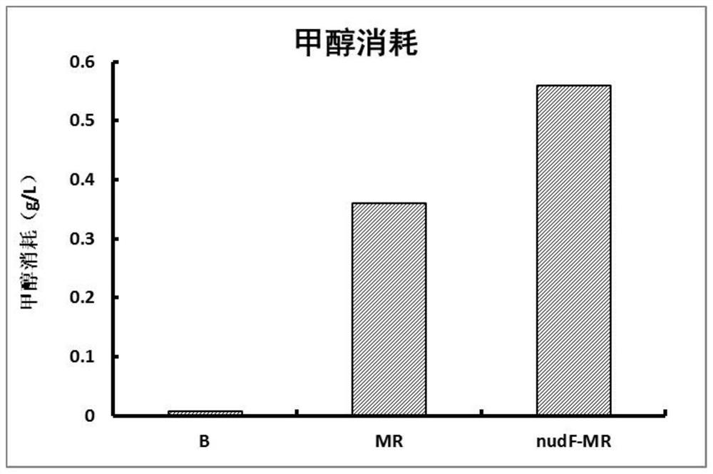 Method for Improving Rate-Limiting Enzyme Activity in Escherichia coli Methanol Metabolism Pathway