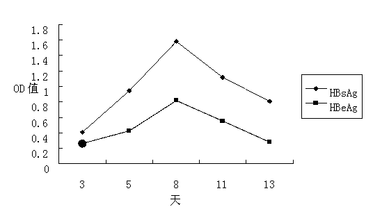 Application of Phyllanthus urinaria polysaccharide in preparation of anti-hepatitis B virus medicines