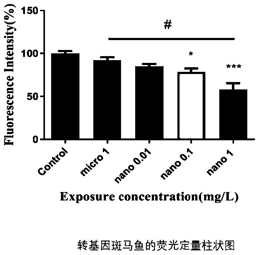 Method for quickly screening neurotoxicity of chemical by using transgenic zebrafish model