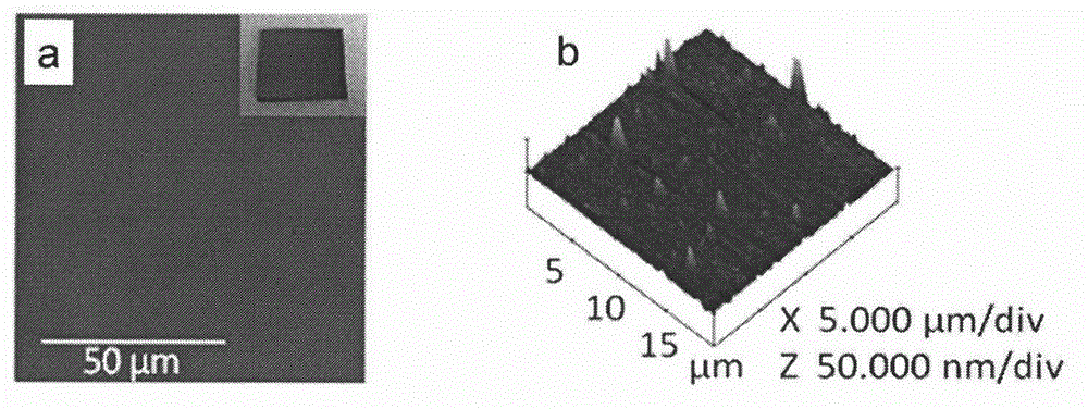 Graphene thin film transferring method based on physical adsorption
