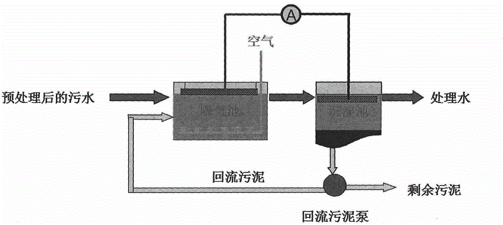Direct electrogenesis method and device for sewage treatment