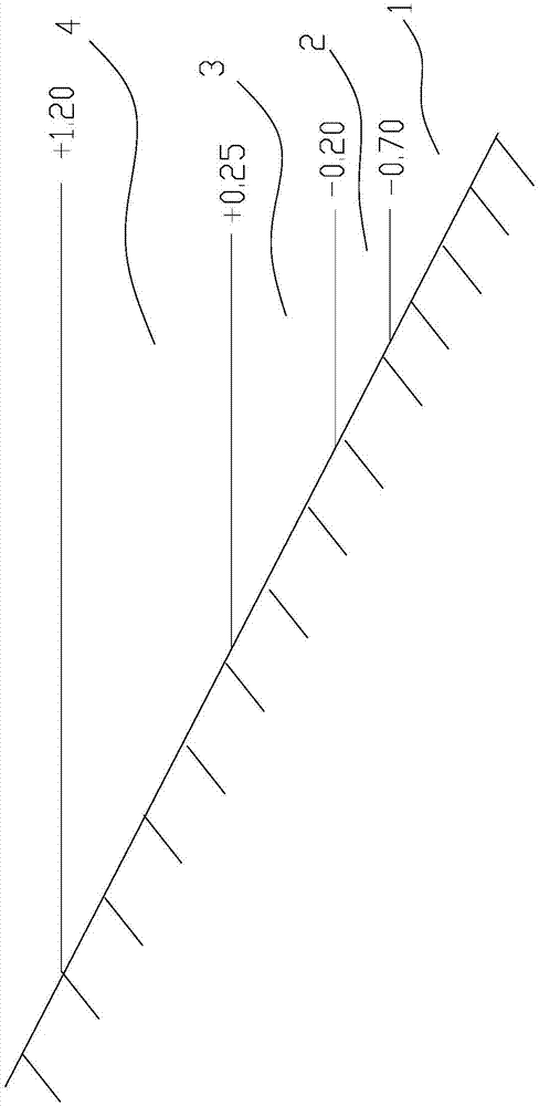 Ecological collocation method for vegetative landscape of waterfront zone