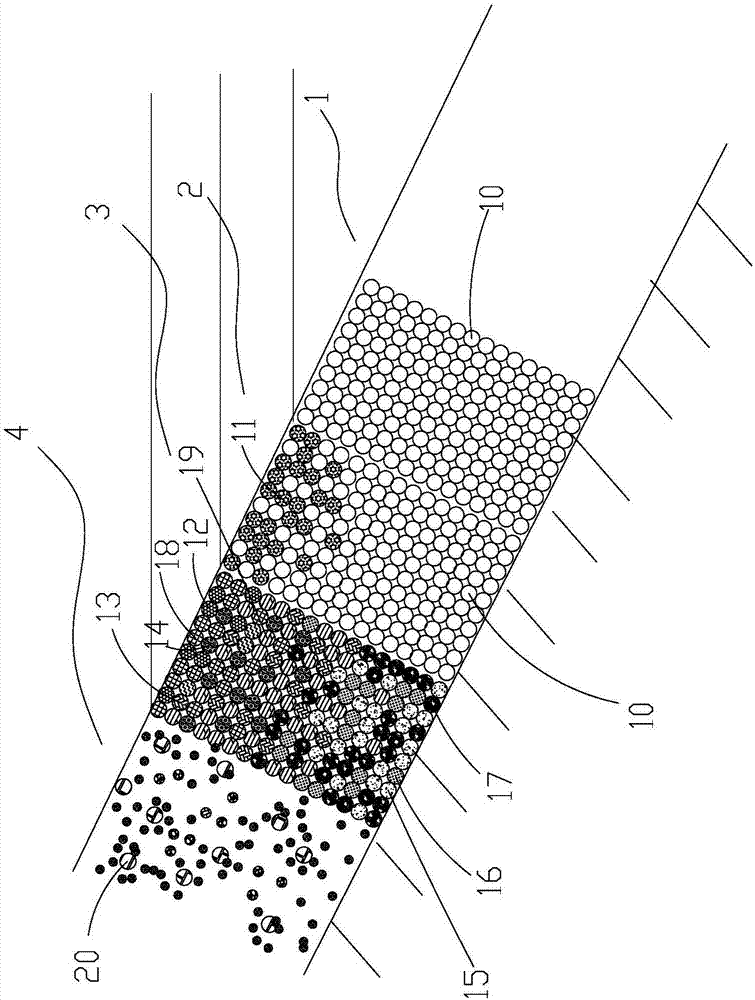 Ecological collocation method for vegetative landscape of waterfront zone