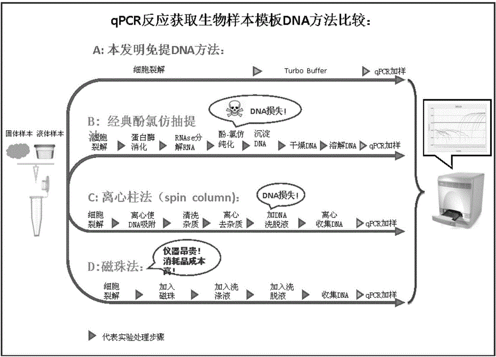 Splitting decomposition composition, application thereof, kit, method for preparing nucleic acid through splitting decomposition composition and method for analyzing nucleic acid