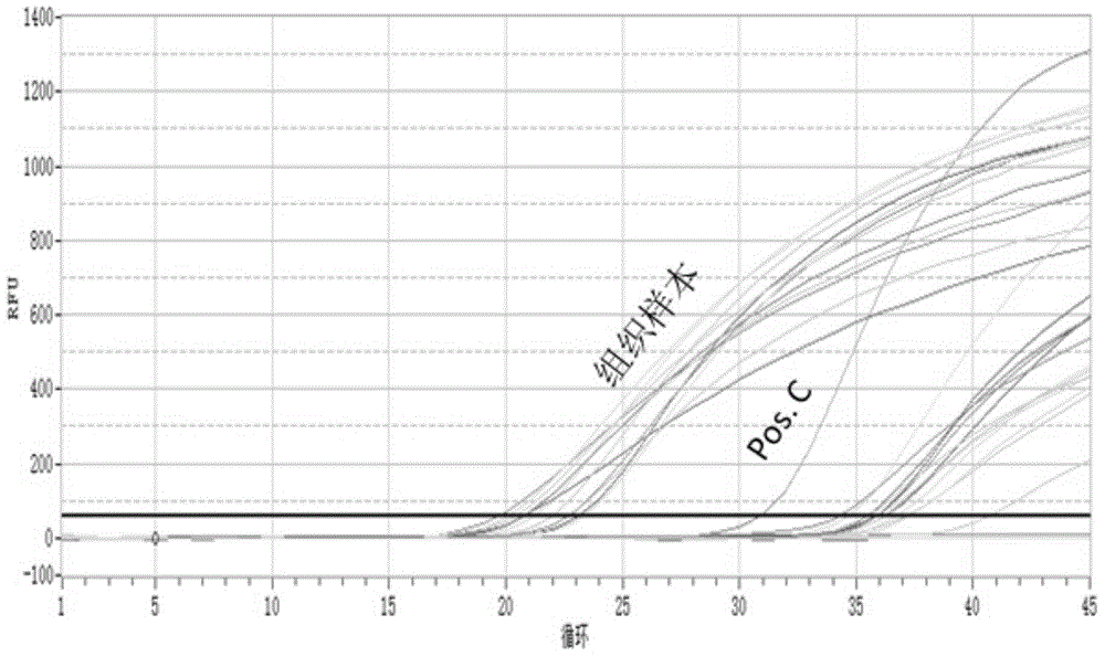 Splitting decomposition composition, application thereof, kit, method for preparing nucleic acid through splitting decomposition composition and method for analyzing nucleic acid