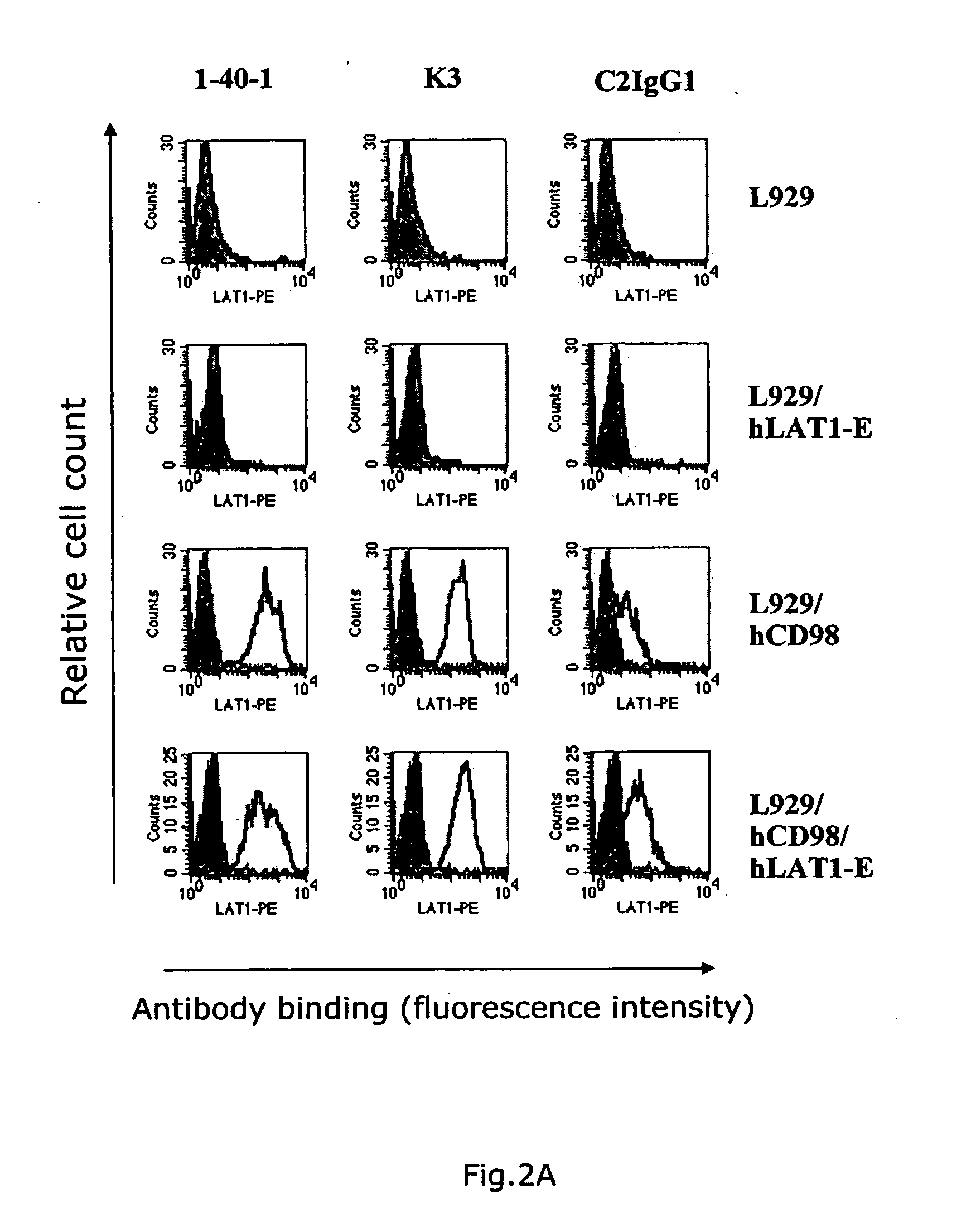 Novel Anti-cd98 antibody
