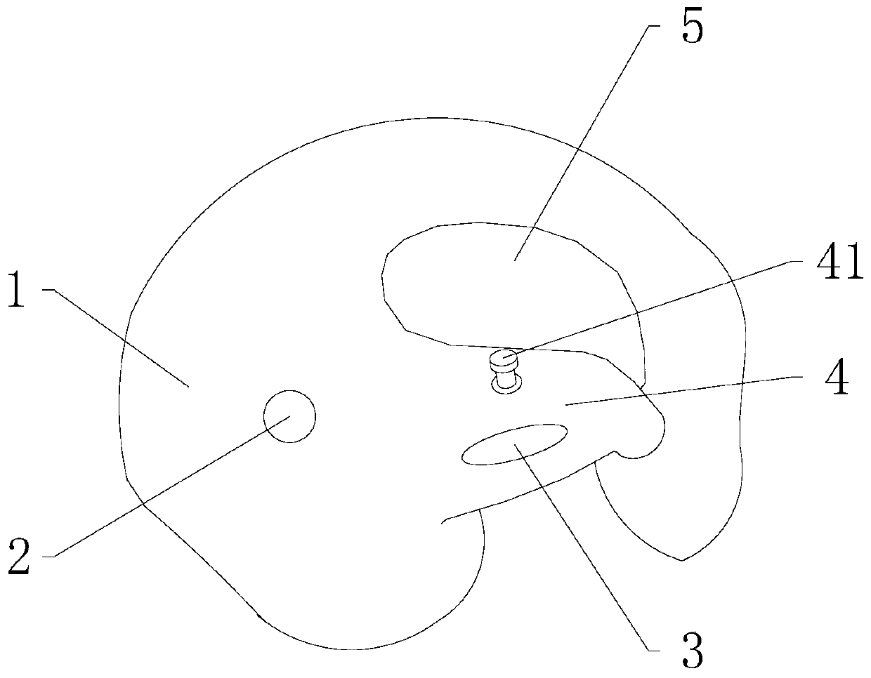 Fixing device for external auditory canal mouth microphone of artificial cochlear sound processor