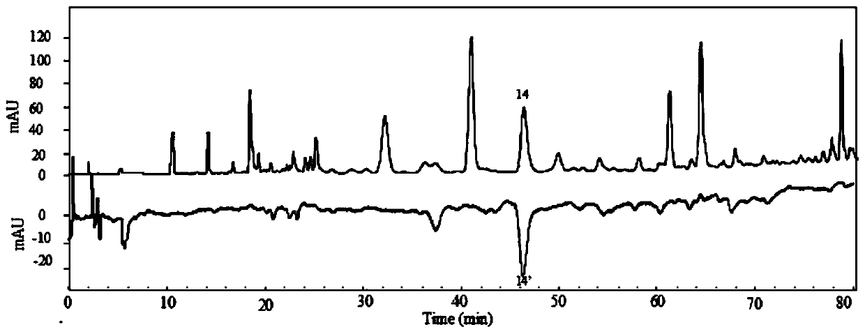 A kind of identification method of propolis and poplar gum