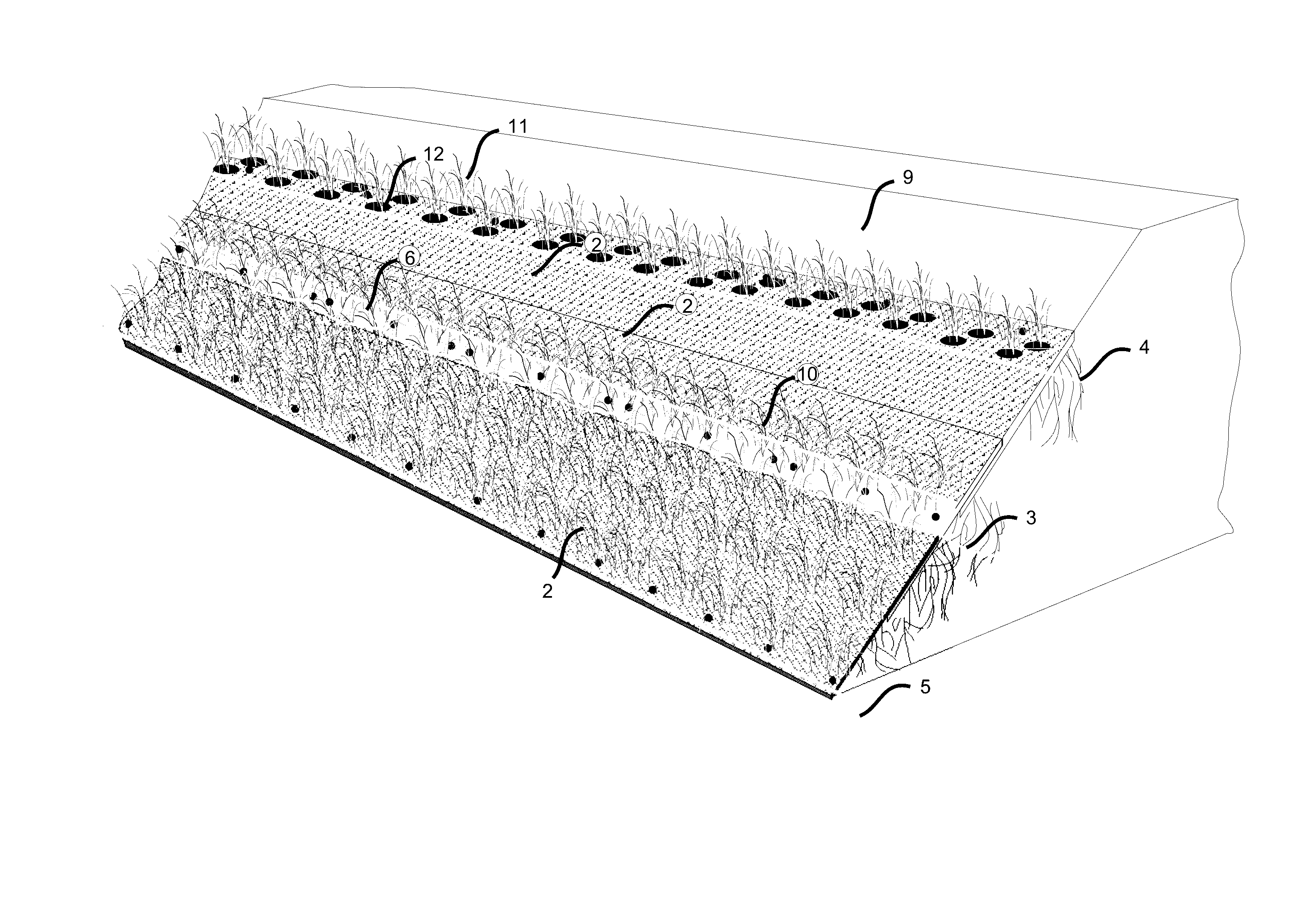 Living Shoreline Protection and Stabilization System and Method