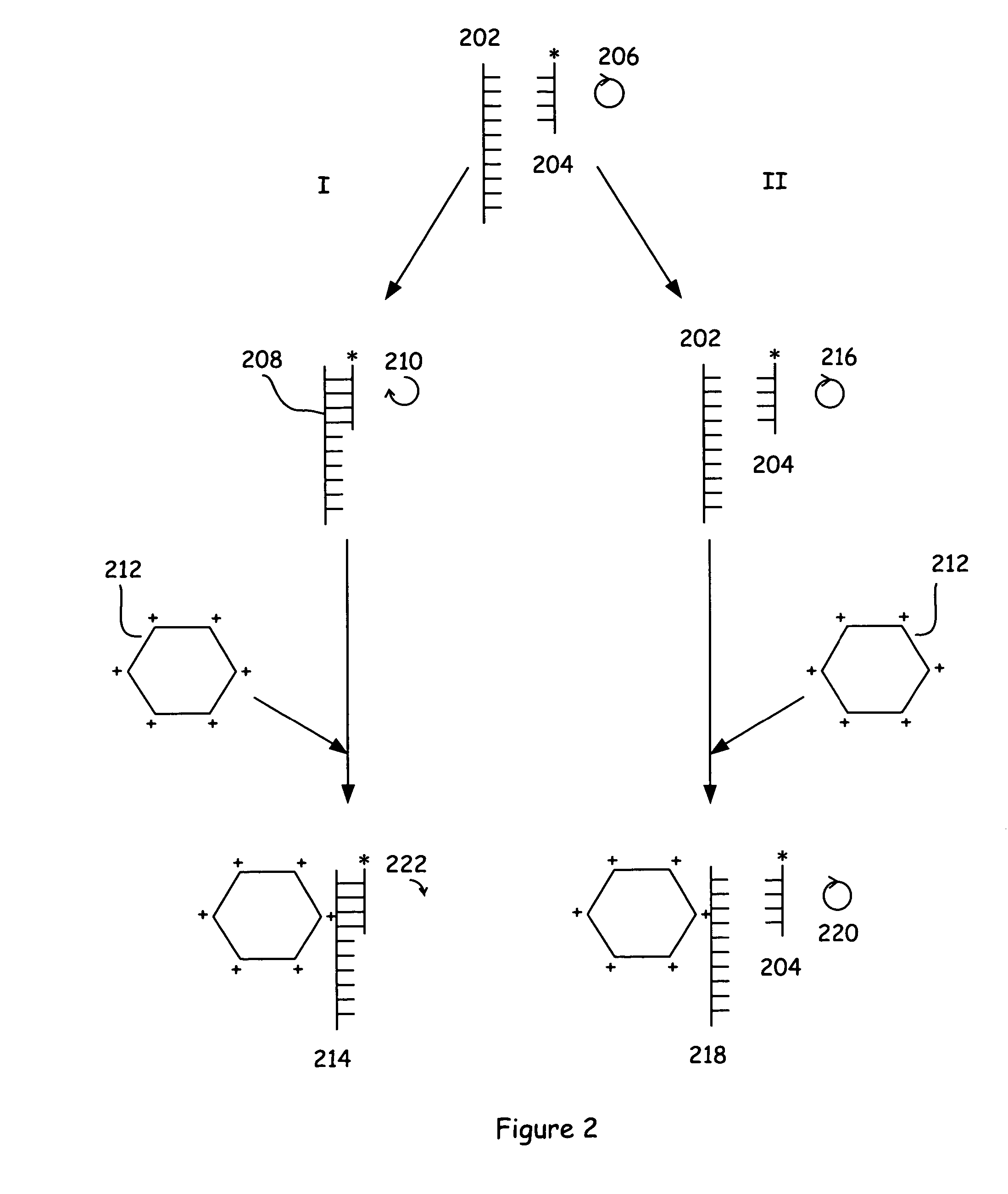 Assay methods and systems