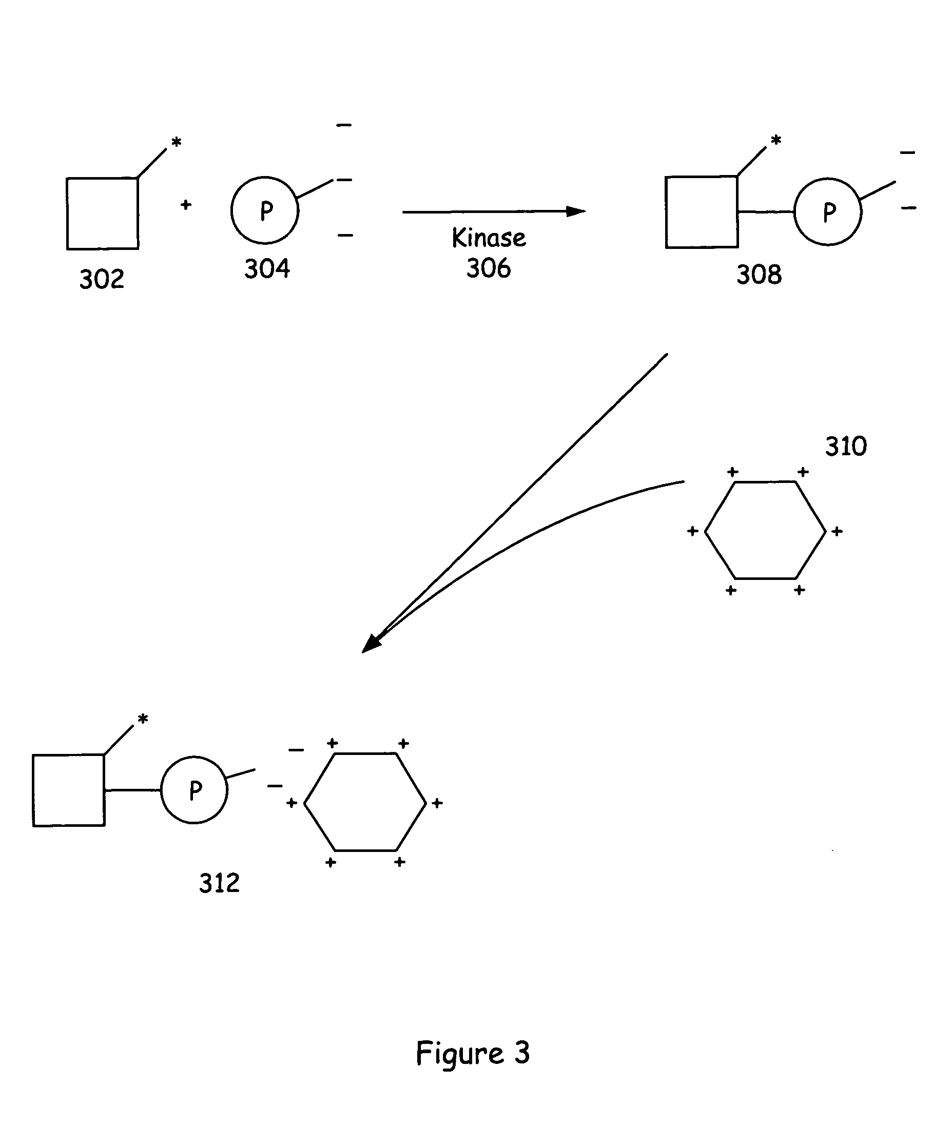 Assay methods and systems