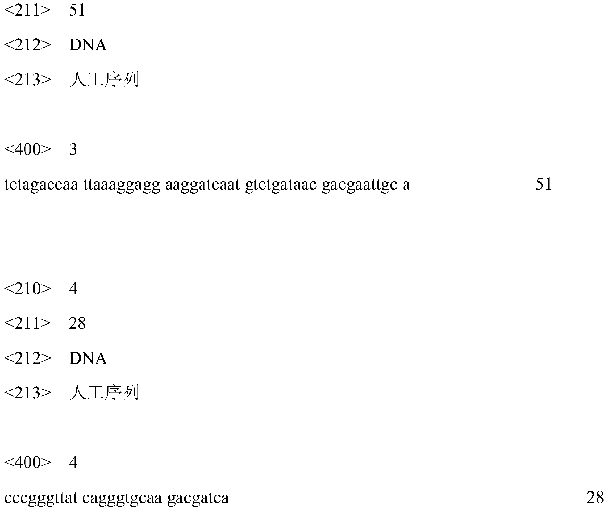 A method for producing gamma-aminobutyric acid using recombinant bacillus subtilis