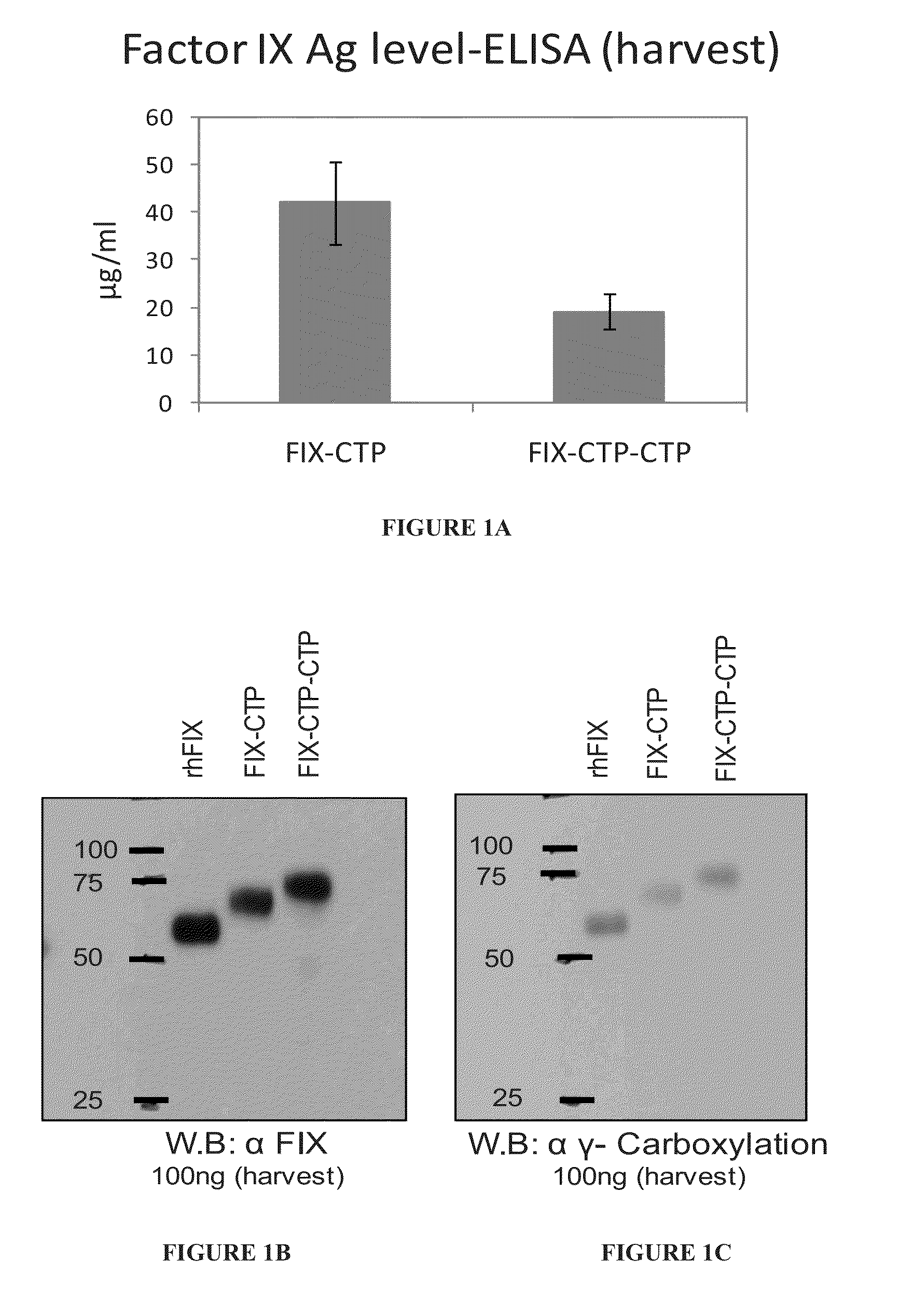 Long-acting coagulation factors and methods of producing same