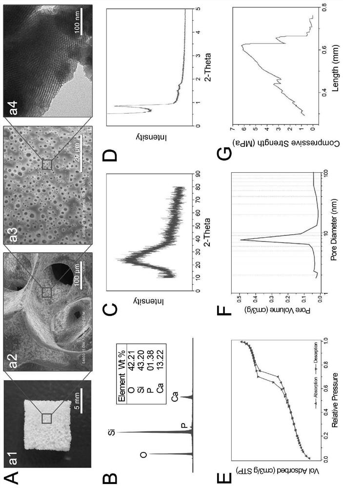 Multistage micro-nano structure bone repair scaffold for freeze-drying delivery of exosome