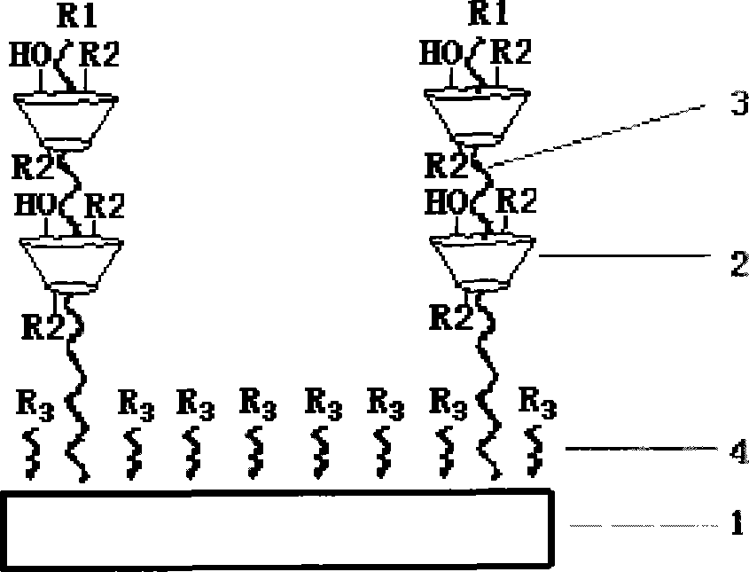 Supramolecular self-assembly biological chip, and preparation method and application thereof