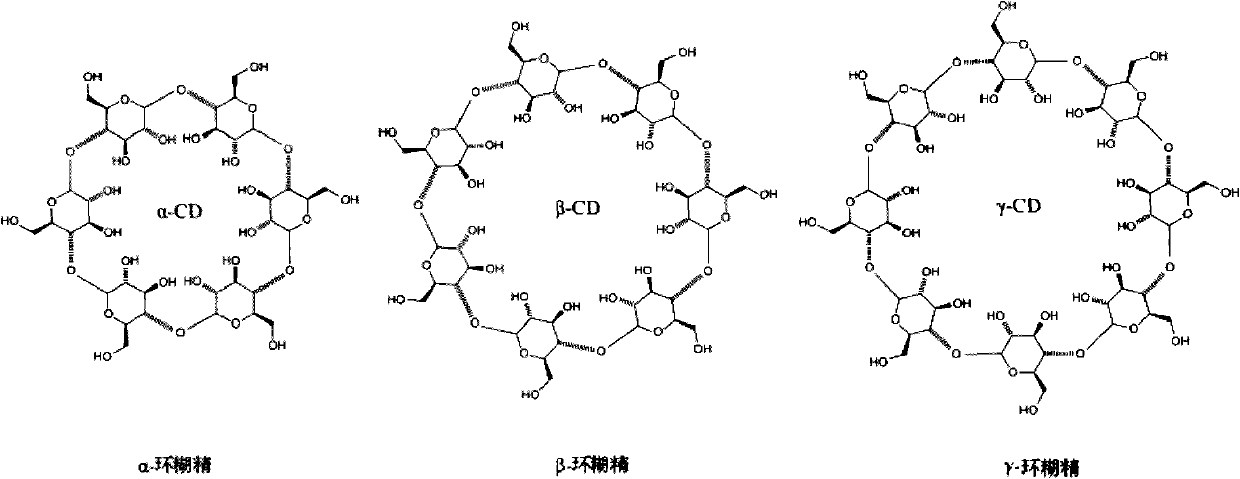 Supramolecular self-assembly biological chip, and preparation method and application thereof