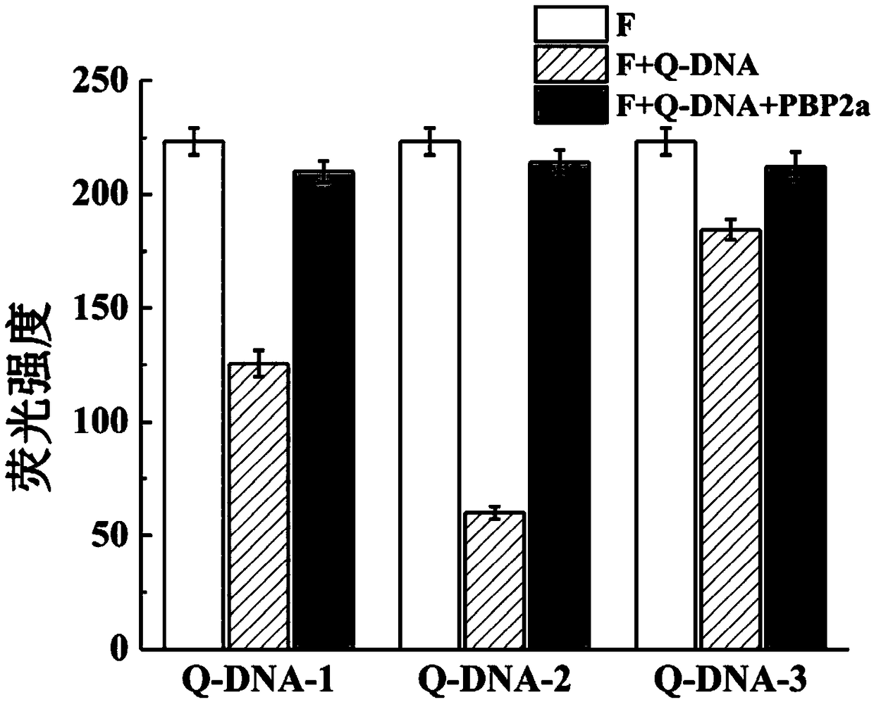 Aptamer based methicillin-resistant staphylococcus aureus fluorescence detection method