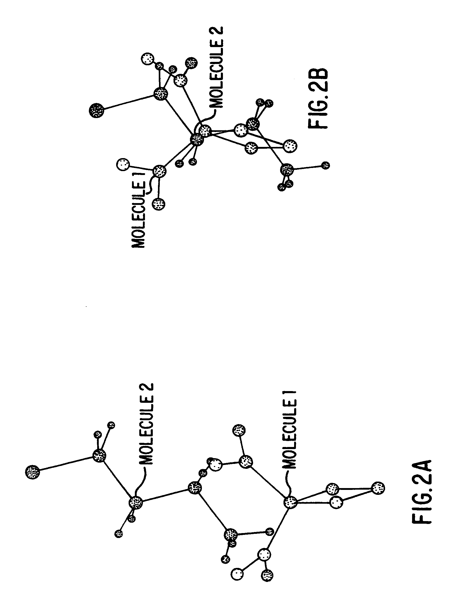 Method and apparatus for searching molecular structure databases