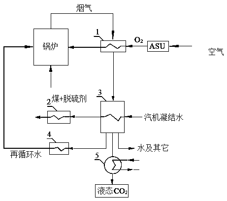 Bubbling fluidized bed type O2/H20 pressurized oxygen-enriched combustion system