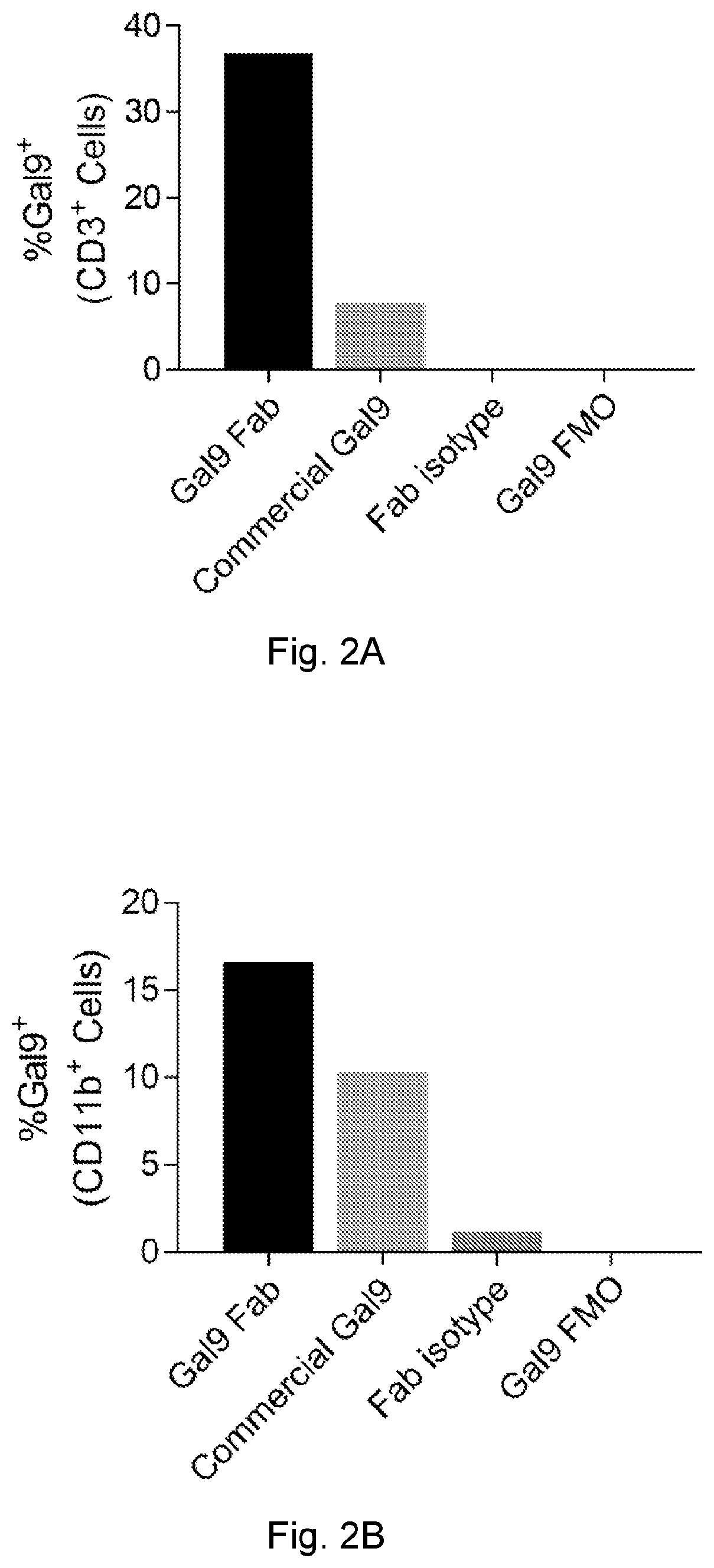 Anti-galectin-9 antibodies and uses thereof