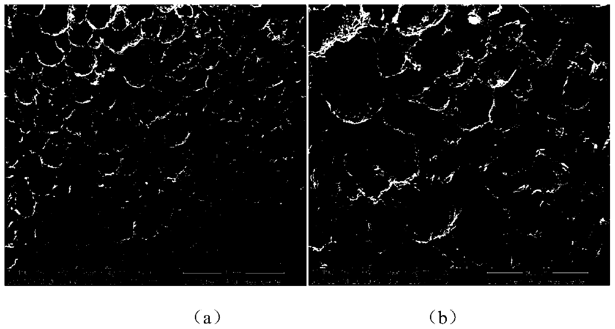 A polylactic acid/hydroxyapatite/acellular amnion composite scaffold and its construction method