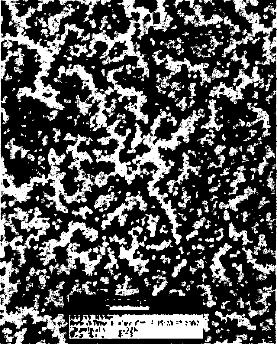 Self-assembled polymeric nanoparticles containing physiologically active ingredients and external application containing the nanoparticles