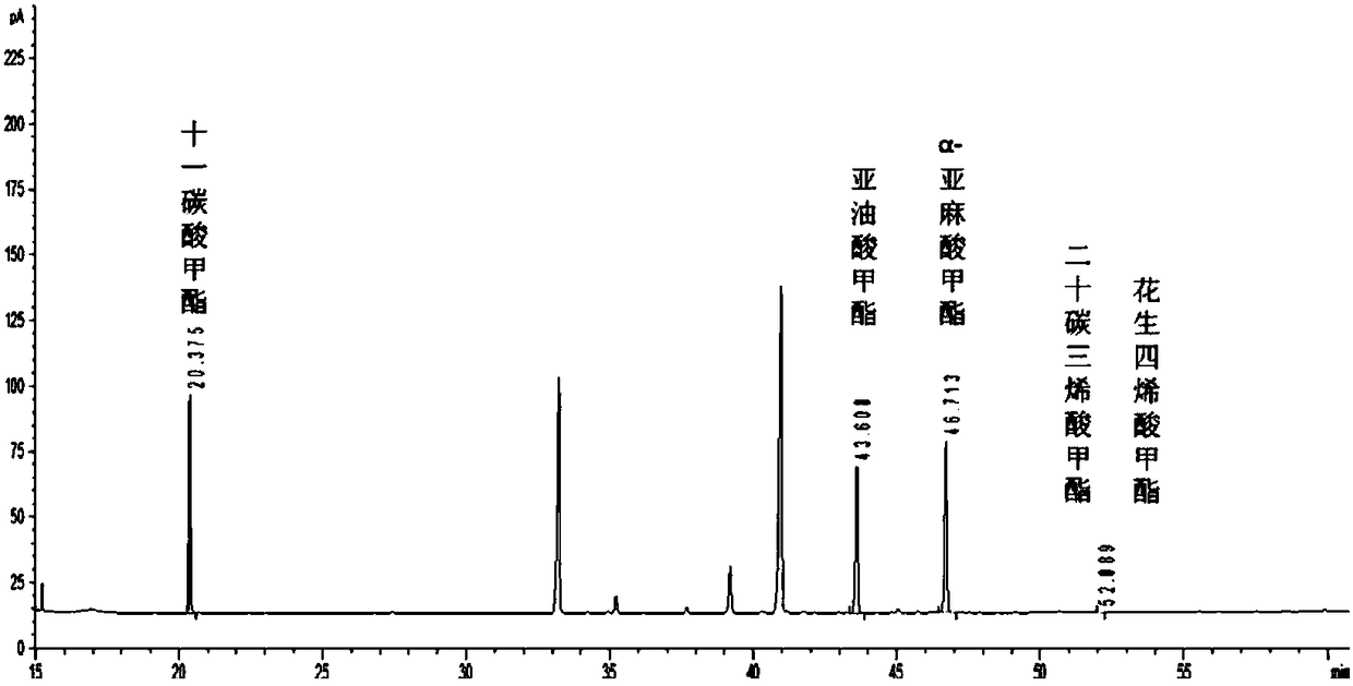 Rainbow trout fatty acid elongase gene, recombinant expression vector, application