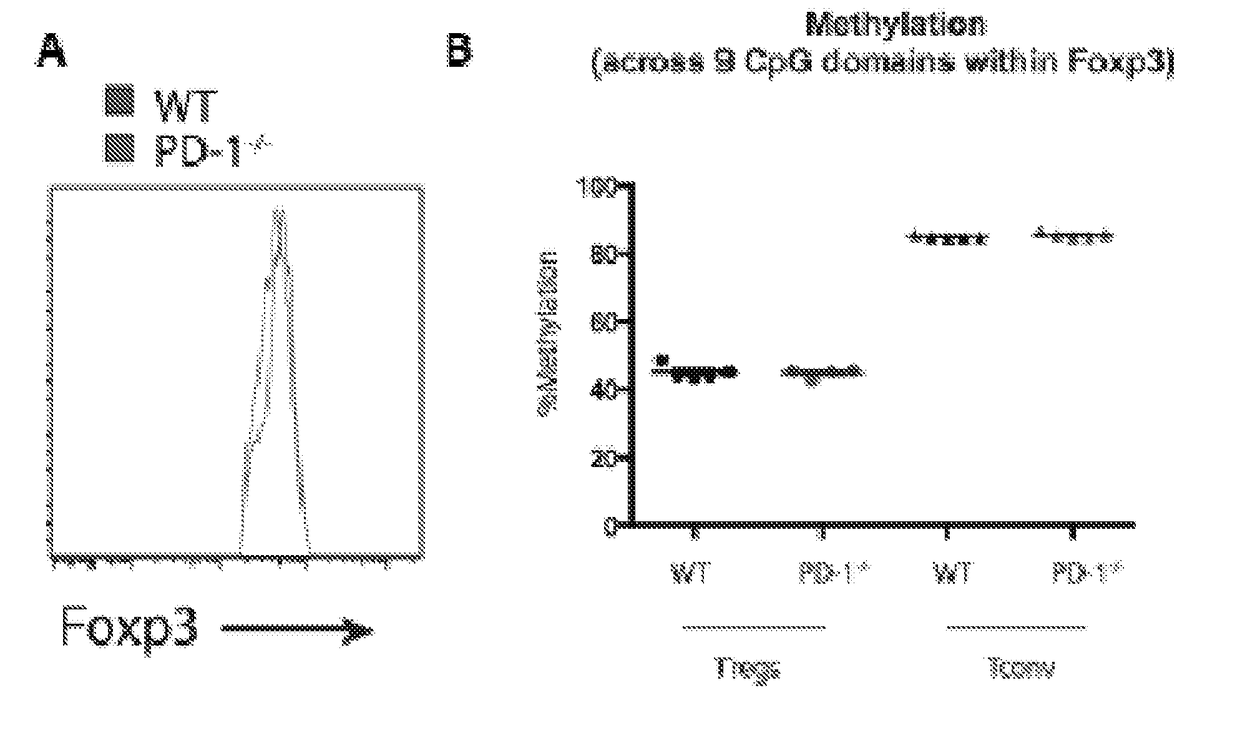 Regulatory t cell pd-1 modulation for regulating t cell effector immune responses