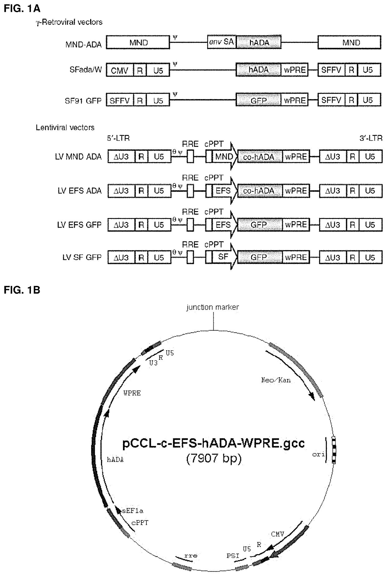 Method for treating adenosine deaminase severe combined imunodeficiency