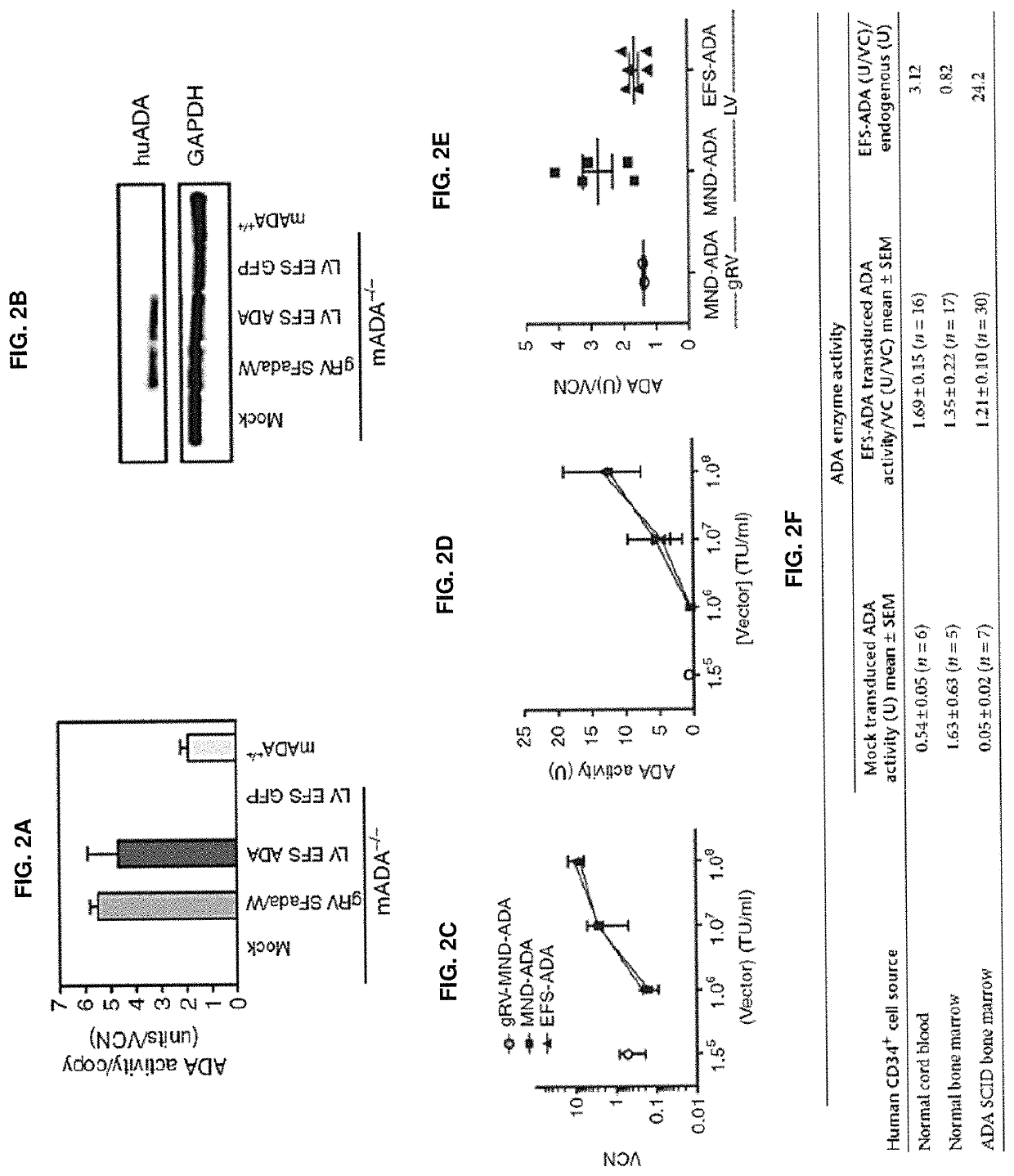 Method for treating adenosine deaminase severe combined imunodeficiency