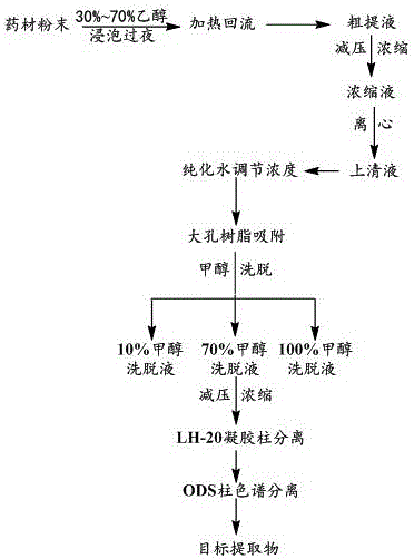 Plant extract, and preparation method and application thereof