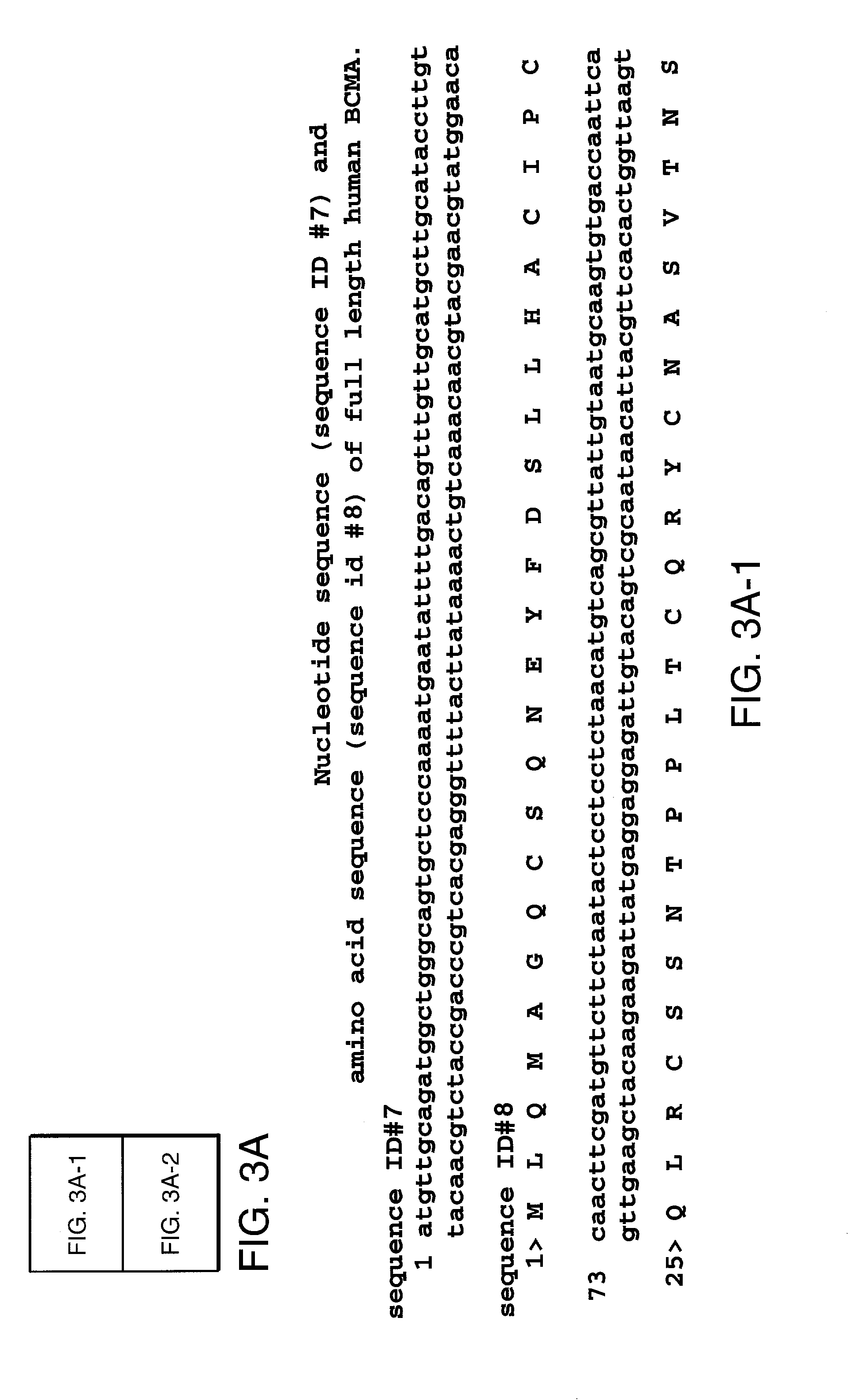 Methods of treating a tumor that expresses APRIL by administering BCMA