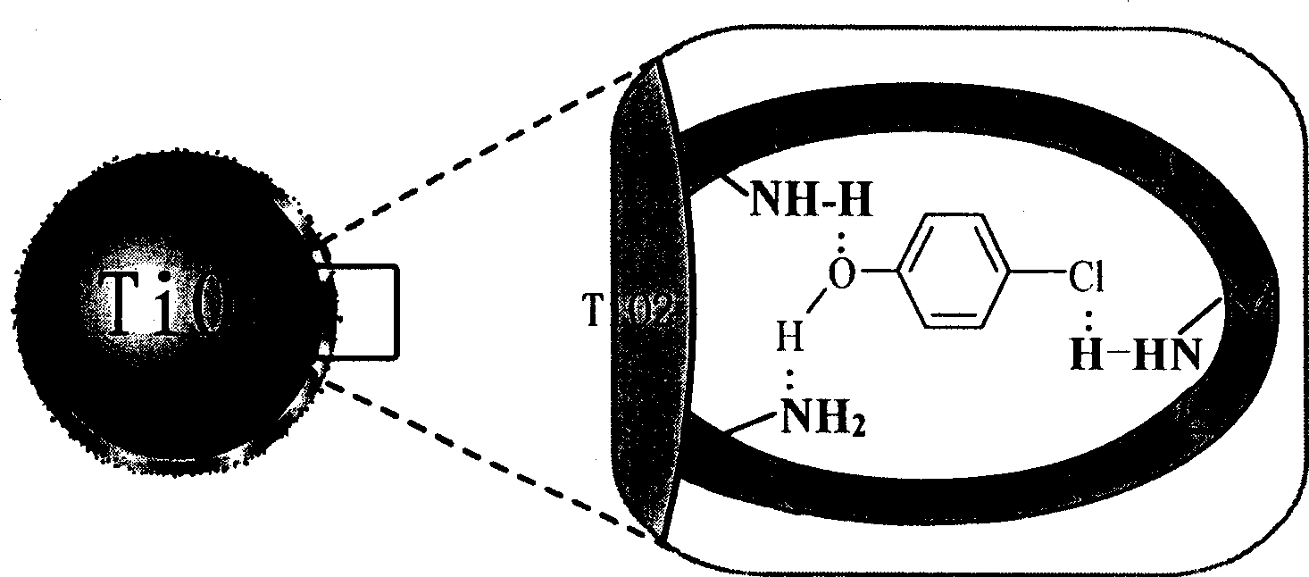 Artificial anitibody type composite photocatalyst and its prepn. method