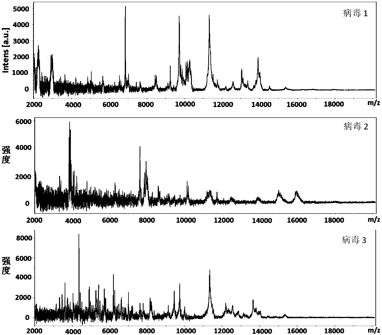 Mass spectrum database establishing method based on virus identification