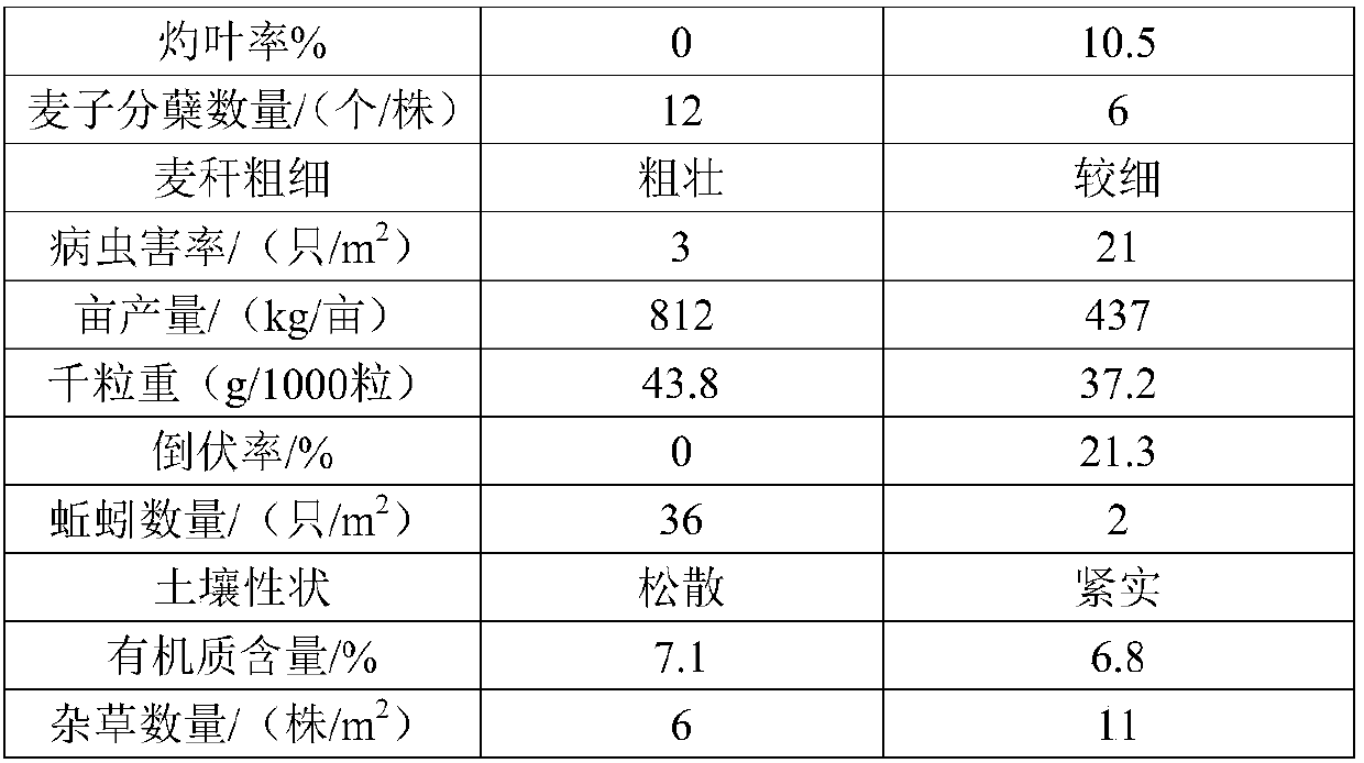 Micro-nano organic fertilizer